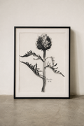 Artichoke Inkwash, 1981